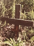 Ο σταυρός στον τάφο του παπα-Τύχωνα με το δεντρολίβανο που φύτεψε από πάνω του ο Άγιος Παΐσιος